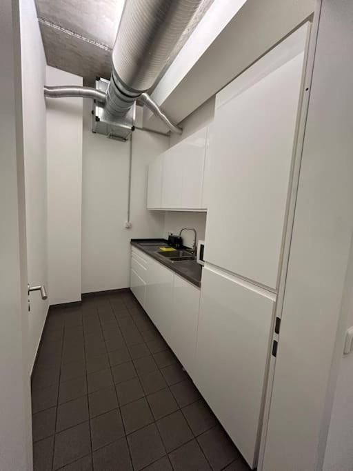 Elbapartment 29 Qm Mit Eigenem Badezimmer ฮัมบูร์ก ภายนอก รูปภาพ